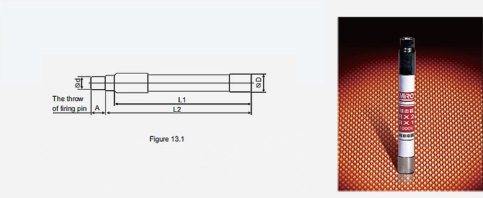 Fuse monitoring devices1